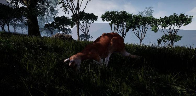 Outback Survival Steam CD Key