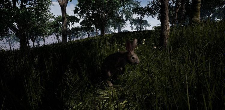 Outback Survival Steam CD Key