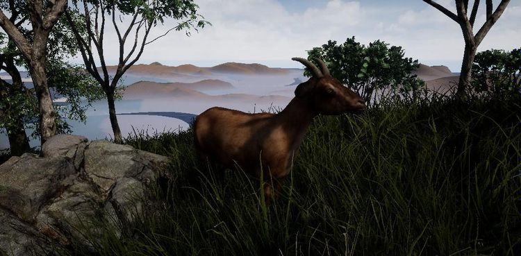 Outback Survival Steam CD Key