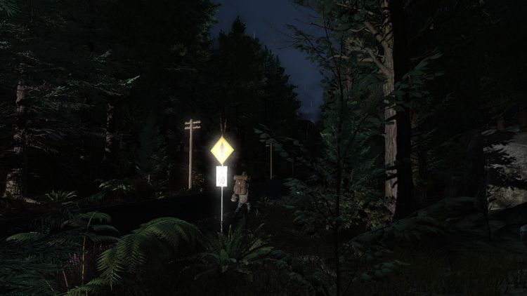 Pineview Drive - Homeless Steam CD Key