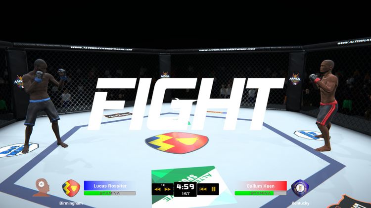 MMA Team Manager Steam CD Key