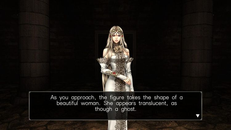 Wizardry: Labyrinth of Lost Souls EU Steam Altergift