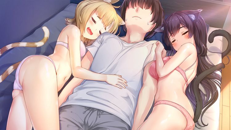 NekoMiko Steam CD Key