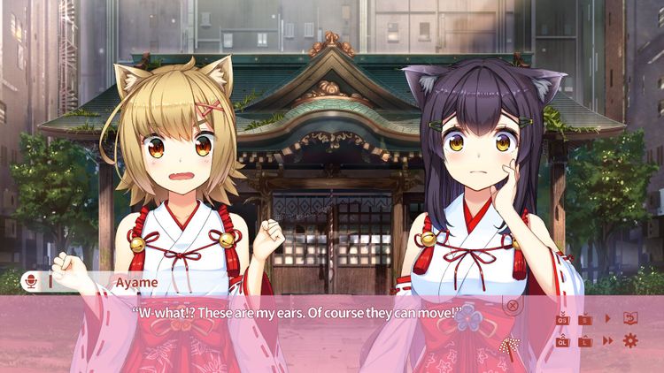 NekoMiko Steam CD Key