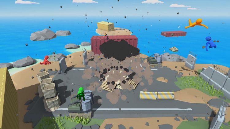 Havocado: Ragdoll Fighter Steam CD Key