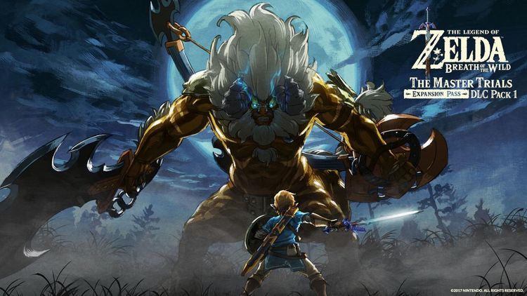 The Legend of Zelda: Breath of the Wild Nintendo Switch 2 Online Account Activation