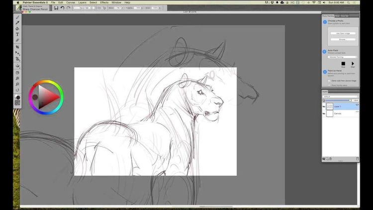 Corel Painter Essentials 5 Digital Download CD Key