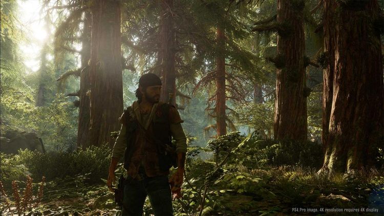 Days Gone - Preorder bonus DLC EU PS4 CD Key
