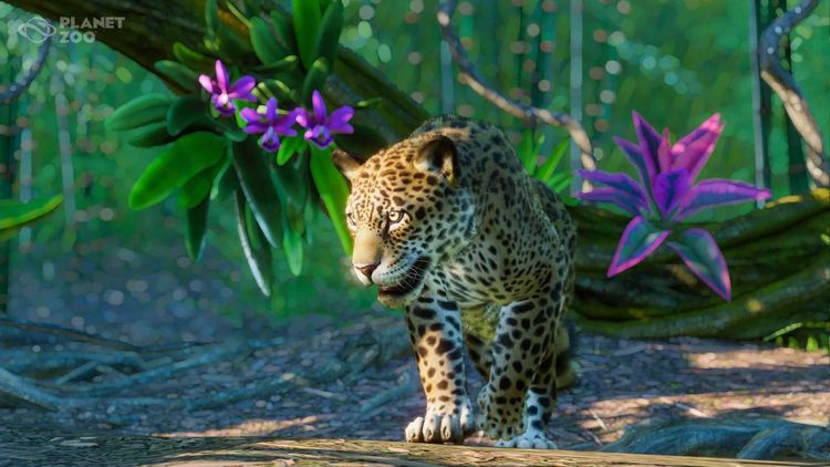 Planet Zoo - South America Pack DLC PC EU Steam Altergift