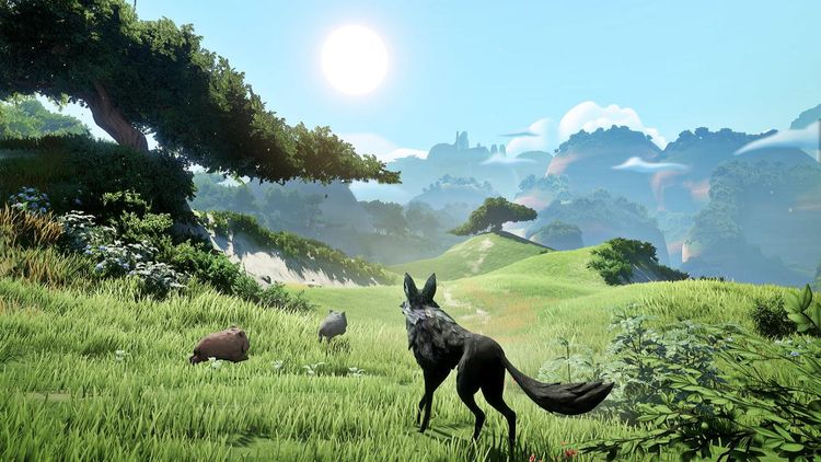 LOST EMBER PC Steam CD Key