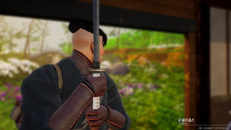 Ronin: Two Souls CHAPTER 1 Steam CD Key