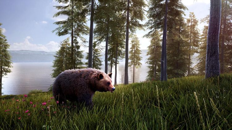 Hunting Simulator 2 - Bear Hunter Pack DLC EU Steam Altergift