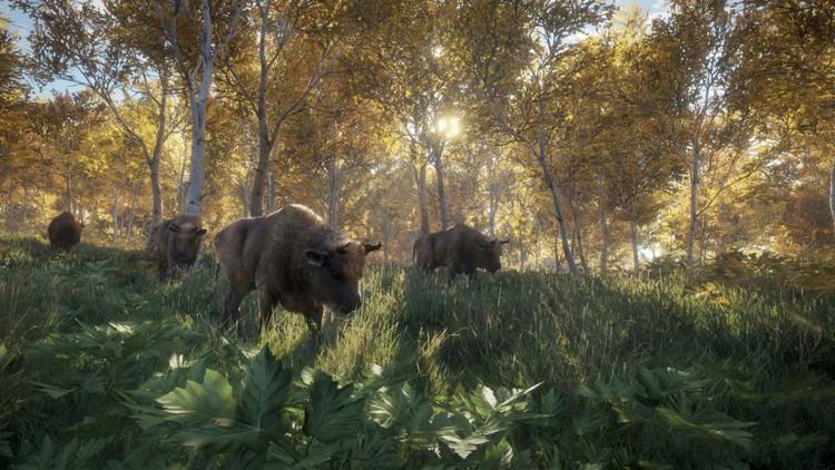 theHunter: Call of the Wild EU Steam Altergift
