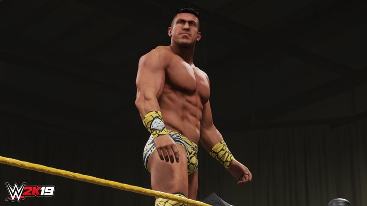 WWE 2K19 - Titans Pack DLC PC Steam CD Key