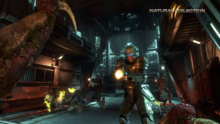 Natural Selection 2 PC Steam CD Key 