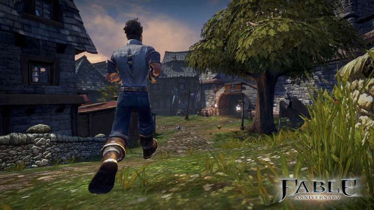 Fable Anniversary Steam CD Key