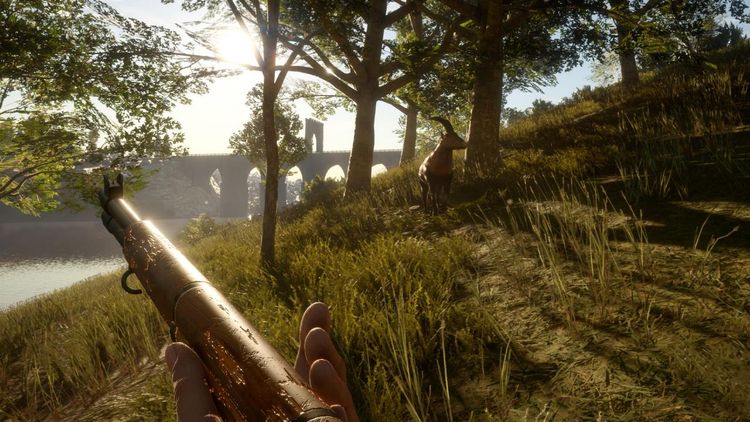 theHunter: Call of the Wild - Smoking Barrels Weapon Pack DLC EU Steam Altergift