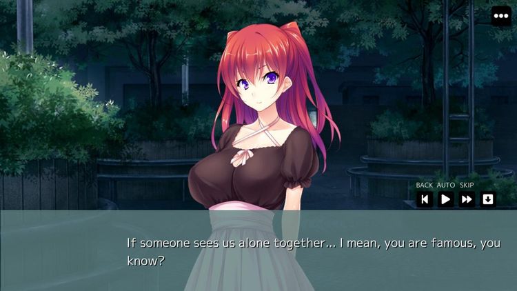 Tsundere Idol Steam CD Key