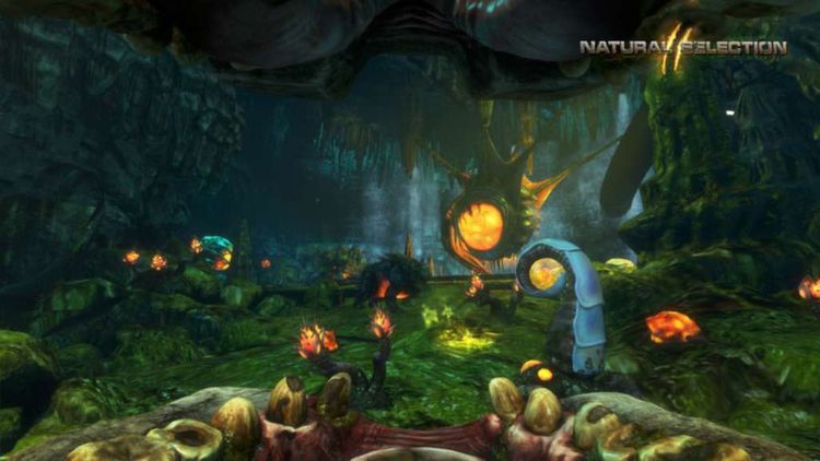 Natural Selection 2 PC Steam CD Key 