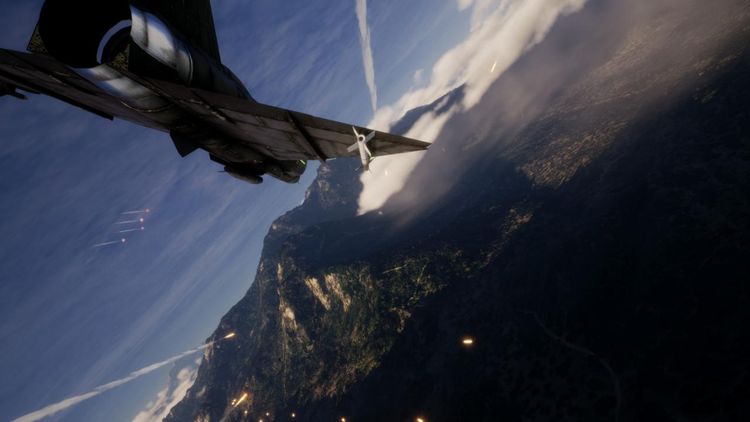Project Wingman EU Steam Altergift