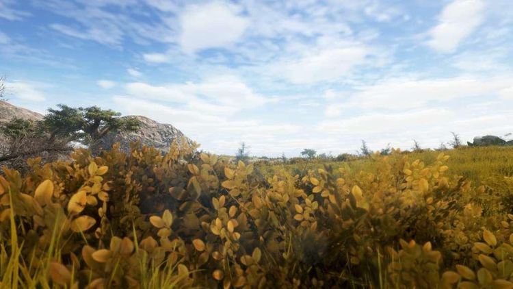 Animallica EU Steam Altergift