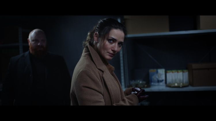 She Sees Red Steam CD Key