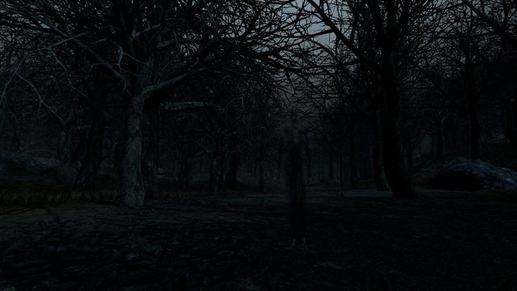 Witch Hunt Steam CD Key