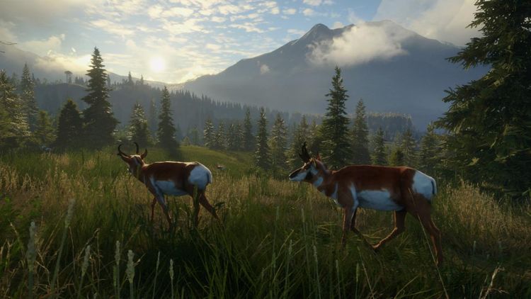 theHunter: Call of the Wild - Silver Ridge Peaks DLC EU Steam Altergift