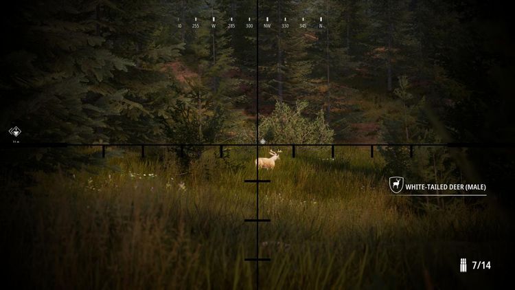 Hunting Simulator 2 EU Steam Altergift