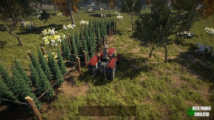 Weed Farmer Simulator Steam CD Key
