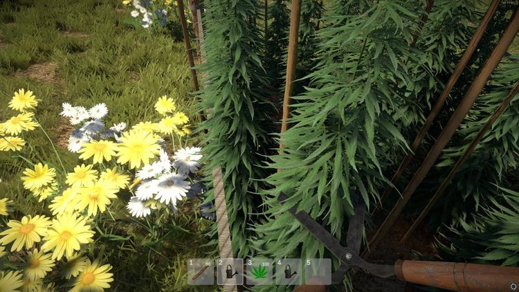 Weed Farmer Simulator Steam CD Key