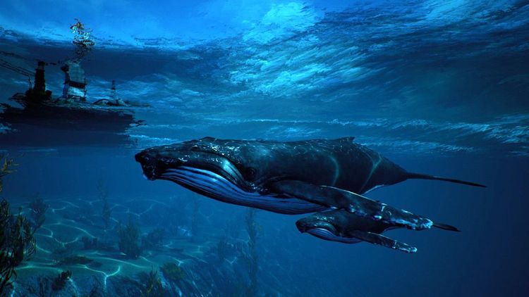 Maneater US XBOX One CD Key