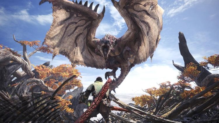 Monster Hunter: World - Character Edit Voucher: Two-Voucher Pack Steam Altergift