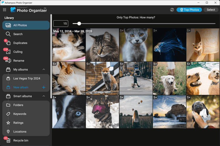 Ashampoo Photo Organizer Pro 25 Key