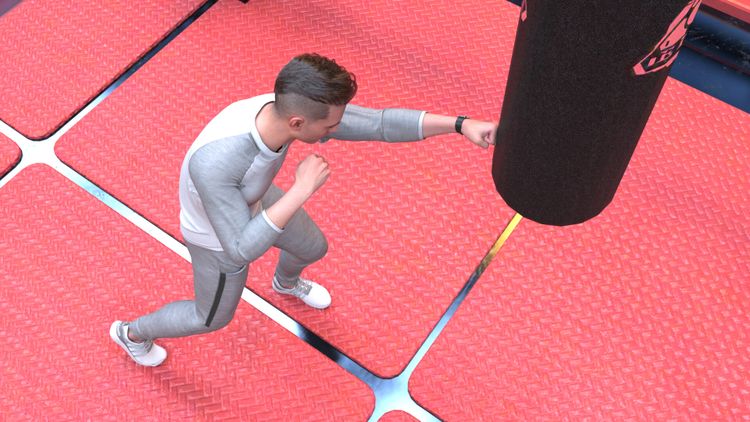 Train and Tame PC Steam CD Key