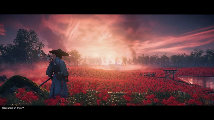 Ghost of Tsushima Director's Cut PS4/PS5 Account