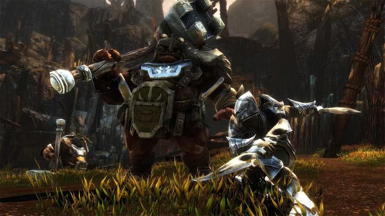 Kingdoms of Amalur: Reckoning EU Nintendo Switch CD Key