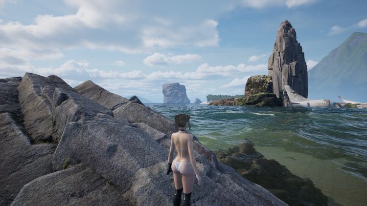 Lethal Beach PC Steam CD Key