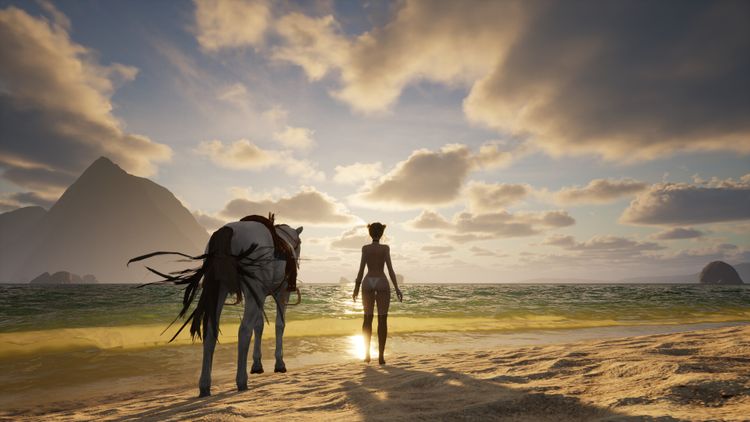 Lethal Beach PC Steam CD Key