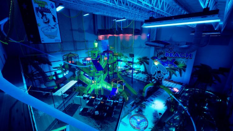 Finding Frankie PC Steam CD Key