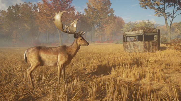 theHunter: Call of the Wild - Hunting Starter Pack Bundle PC Steam CD Key