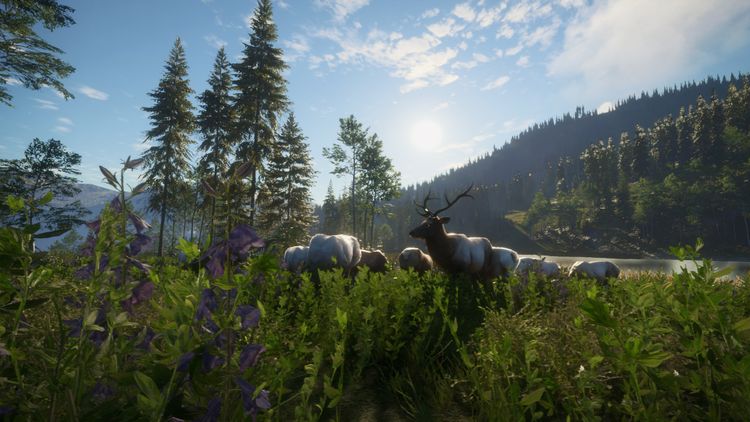 theHunter: Call of the Wild - Hunting Starter Pack Bundle PC Steam CD Key