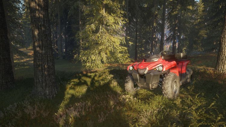 theHunter: Call of the Wild - Hunting Starter Pack Bundle PC Steam CD Key