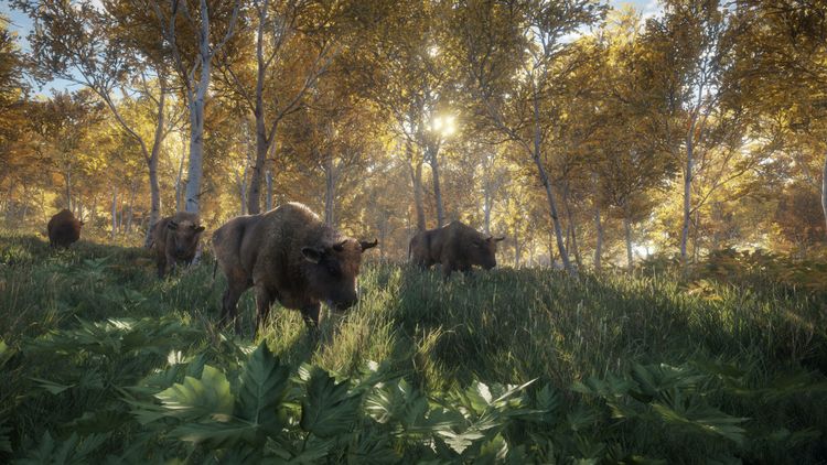 theHunter: Call of the Wild - Hunting Starter Pack Bundle PC Steam CD Key