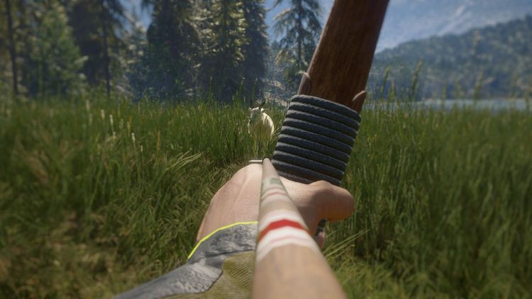 theHunter: Call of the Wild - Hunting Starter Pack Bundle PC Steam CD Key