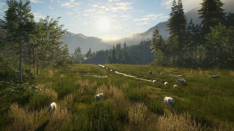 theHunter: Call of the Wild - Hunting Starter Pack Bundle PC Steam CD Key