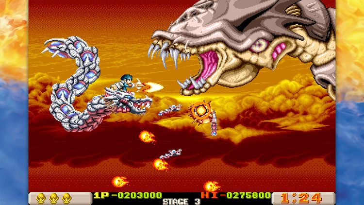 Irem Collection Volume 3 EU PS4/PS5 CD Key