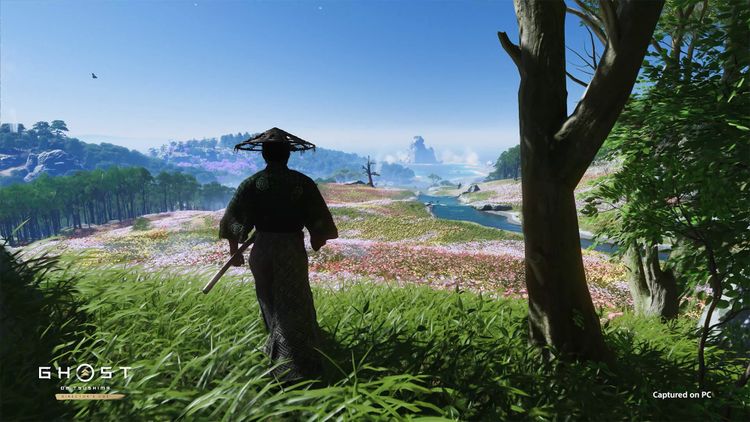 Ghost of Tsushima Director's Cut PC Steam CD Key