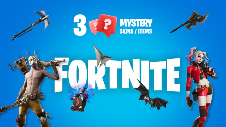 3 Mystery Fortnite Skins / Items PC Epic Games CD Key