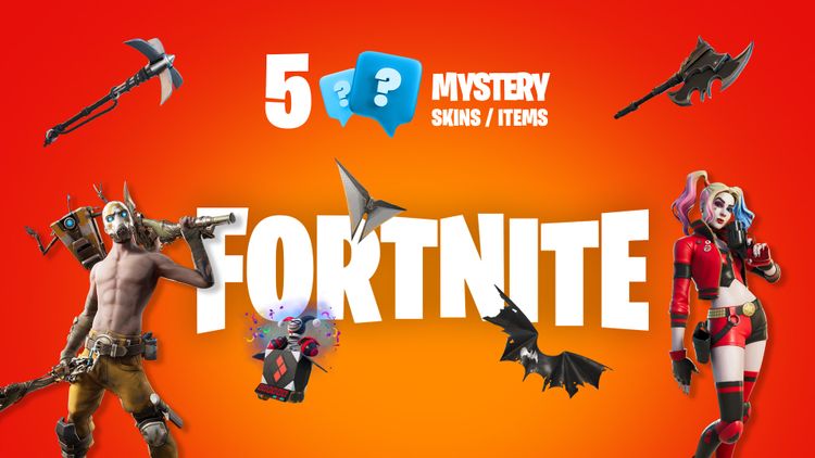 5 Mystery Fortnite Skins / Items PC Epic Games CD Key